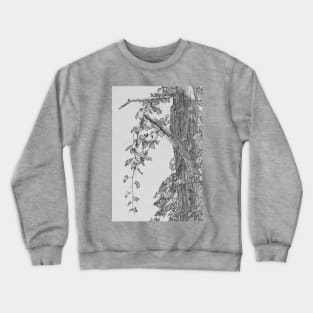 Cascading Vines (Tree & Leaf Study #4) Crewneck Sweatshirt